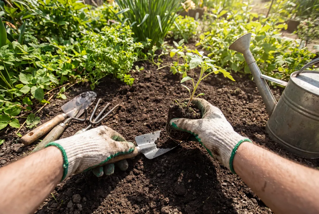 Gardening at home, filmed from the wearer's point of view
